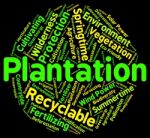 Plantation Word Means Farms Ranches And Farming Stock Photo