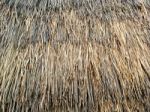 Abstract Background By Dry Grass And Yellow Grass Stock Photo