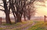 Spring Countryside Sunset. Old Country Road In The Park Stock Photo