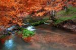 The Colors Of Autumn Stock Photo