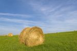 Straw Ball Stock Photo