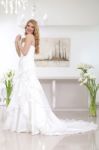 Young Beautiful Bride Stock Photo