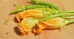 Yellow Courgette Blossoms Stock Photo