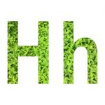 English Alphabet Made From Green Grass On White Background Stock Photo