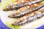 Tasty Grilled Sardines Stock Photo