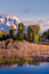 Beaver Dam Near Schwabachers Landing Stock Photo