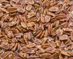 Toasted Pecans Stock Photo