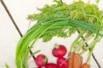 Raw Root Vegetable Stock Photo