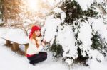 Beautiful Young Woman In The Winter Stock Photo