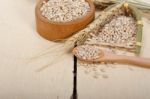 Organic Wheat Grains Stock Photo