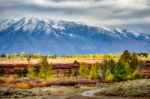 Autumn In The Grand Tetons Stock Photo