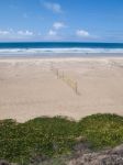 Beach Volleyball Net Stock Photo