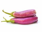 Eggplants Stock Photo