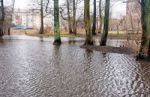 Flooded Creek In Early Spring Stock Photo