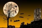 Halloween Night Concept Stock Photo