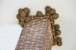 Several Swallow Nests On A Wall Stock Photo