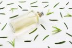 Rosemary Essential Oil On White Stock Photo