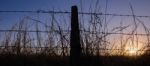 Rusted Sharp Timber And Metal Barb Wire Fence Stock Photo