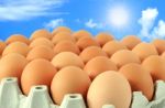 Eggs In Carton Stock Photo