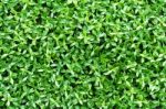 Artificial Tiny Green Leaves Texture Stock Photo