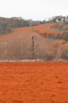 Farming Field In Tasmania, Australia Stock Photo