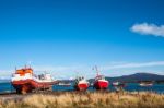 Strait Of Magellan, Puerto Natales, Patagonia, Chile Stock Photo