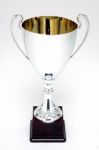 Trophy Stock Photo