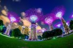 Singapore - Feb 11 , 2017 : Super Tree In Garden By The Bay, Singapore Stock Photo