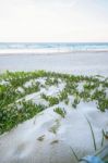 Burleigh Heads Beach During The Day Stock Photo