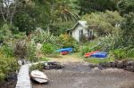 Bungalow At Kerikeri Stock Photo