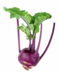 Purple Kohlrabi Isolated On The White  Background Stock Photo