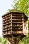 Wooden Dovecote With Several Pigeons Stock Photo