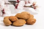 Almond Tree Branch And Almonds Stock Photo