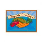 Organic Produce Crop Harvest Label Watercolor Stock Photo