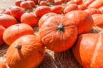 Orange Pumpkins On Straw Stock Photo