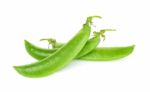 Green Pea Isolated On The White Background Stock Photo