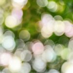 Natural Bokeh Blur. Abstract Nature Background Stock Photo