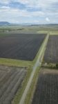 Country Agricultural And Farming Field Stock Photo