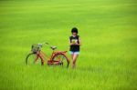 Beautiful Girl Reading A Book Stock Photo