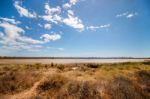 Ria Formosa Marshlands Located In The Algarve, Portugal Stock Photo