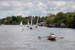 Rowing And Sailing On The River Thames Between Hampton Court And Stock Photo