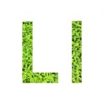 English Alphabet Made From Green Grass On White Background Stock Photo