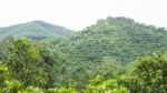 Mountain View Of Rubber Trees Stock Photo