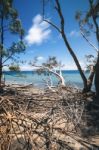 Amity Point Beach On Stradbroke Island, Queensland Stock Photo