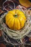 Pumpkin On The Hay Stock Photo