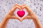 Pink Heart In Hands On Nature Background Stock Photo