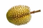 Durian On White Background Stock Photo