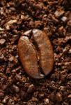 Ground Coffee Bean Stock Photo