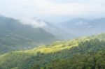 Rice Terraces Stock Photo