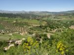 Ronda, Andalucia/spain - May 8 : View Of The Countryside From Ro Stock Photo